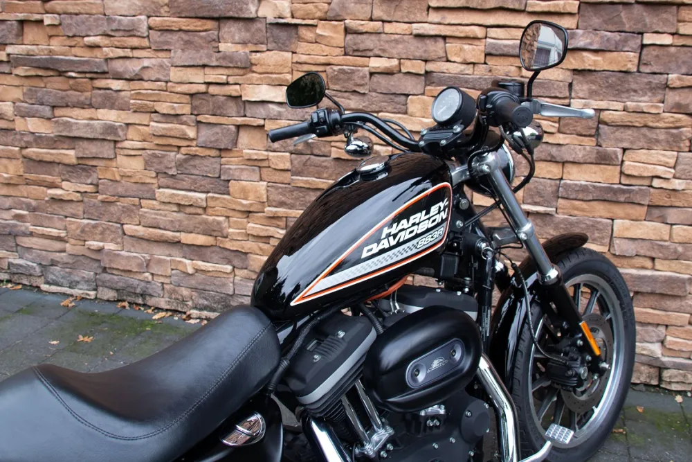 2005 Harley-Davidson XL883R Sportster *VERKOCHT*