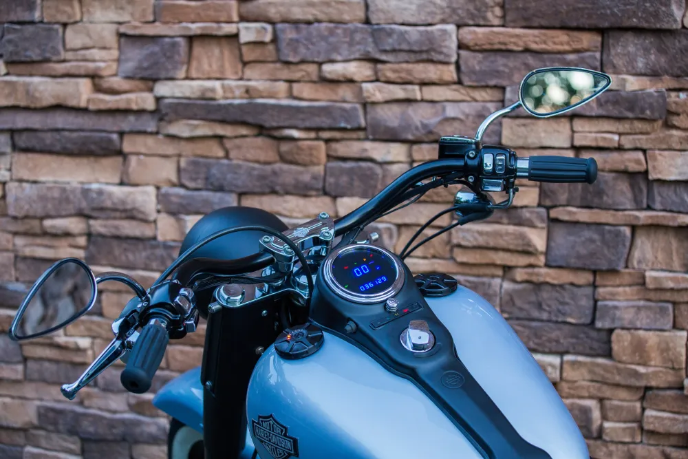 2006 Harley-Davidson FLSTI Heritage Softail *VERKOCHT*