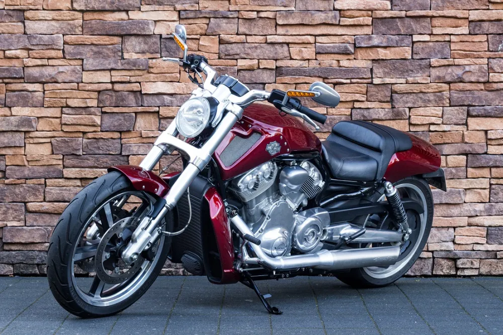 2008 Harley-Davidson VRSCF V-rod Muscle ABS *VERKOCHT*