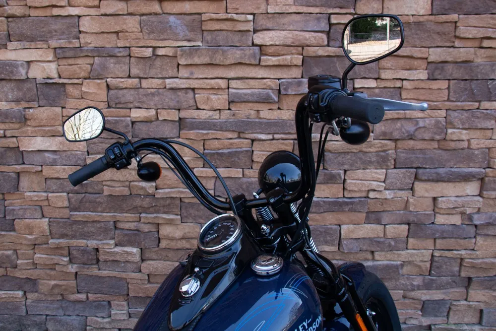 2009 Harley-Davidson FLSTSB Cross Bones Softail *VERKOCHT*