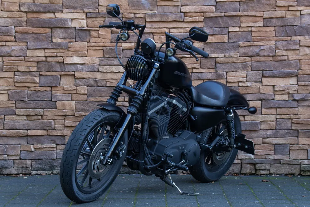 2009 Harley-Davidson XL 883 N Sportster Iron *VERKOCHT*