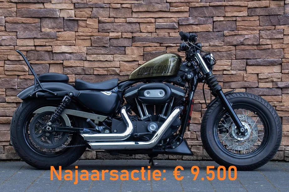 2009 Harley-Davidson XL883N Sportster Iron 883 Special