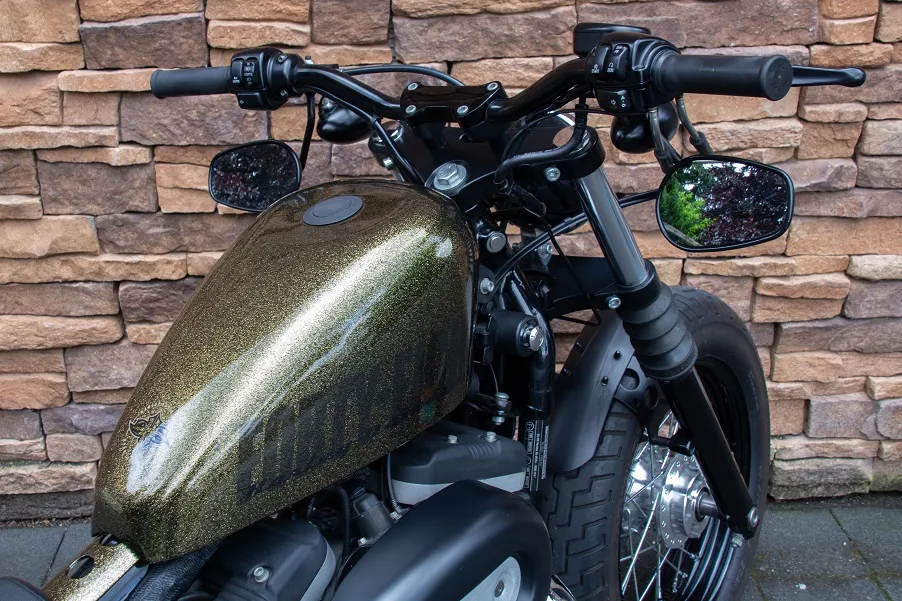 2009 Harley-Davidson XL883N Sportster Iron 883 Special