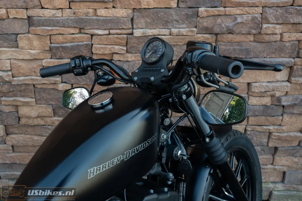 2010 Harley-Davidson XL883N Sportster Iron 883