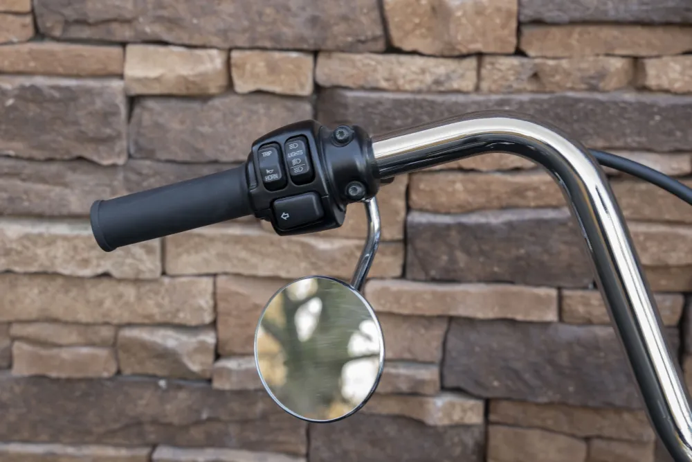 Harley-Davidson FLS Softail Slim 103 Mexican Style