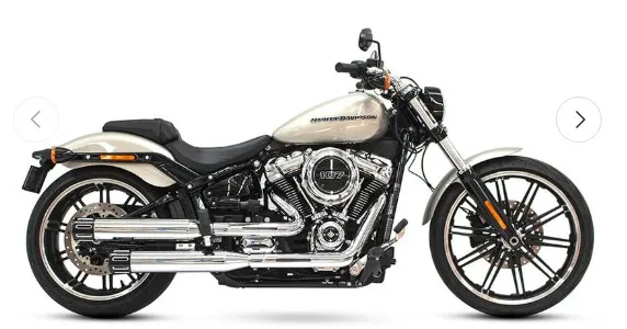 Rinehart uitlaatdempers 3,5" slip-on M8 softail (2018-up) 500-1200-SLOT