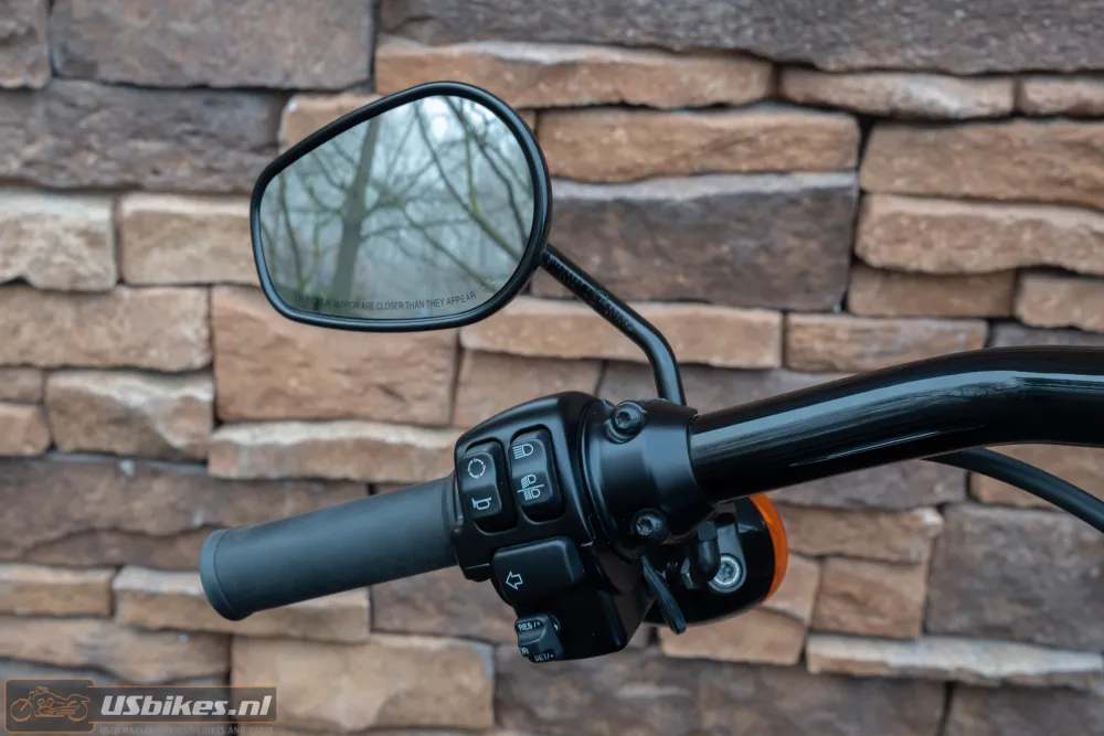 2017 Harley-Davidson FXDLS Dyna Low Rider S 110 Screamin Eagle