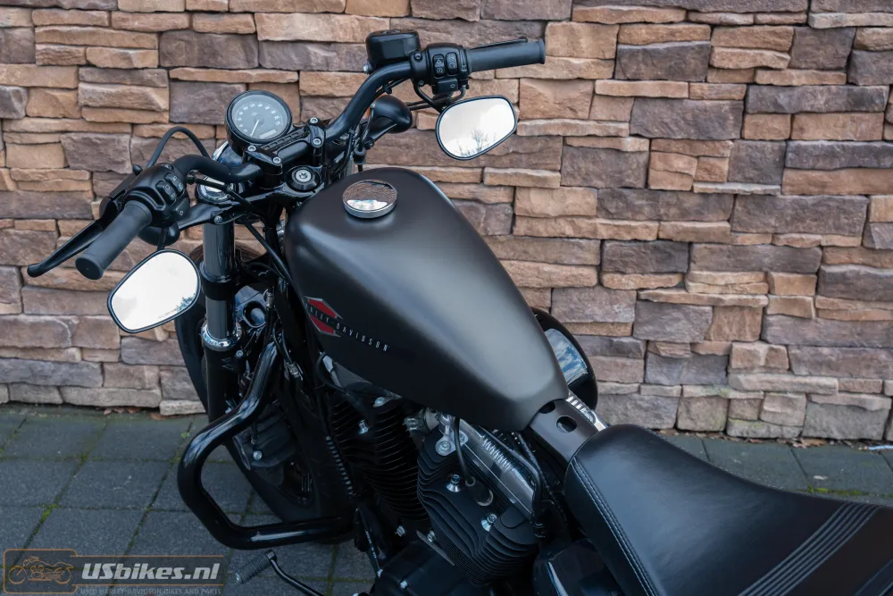 2020 Harley-Davidson XL1200X Forty Eight 1200 Sportster 48