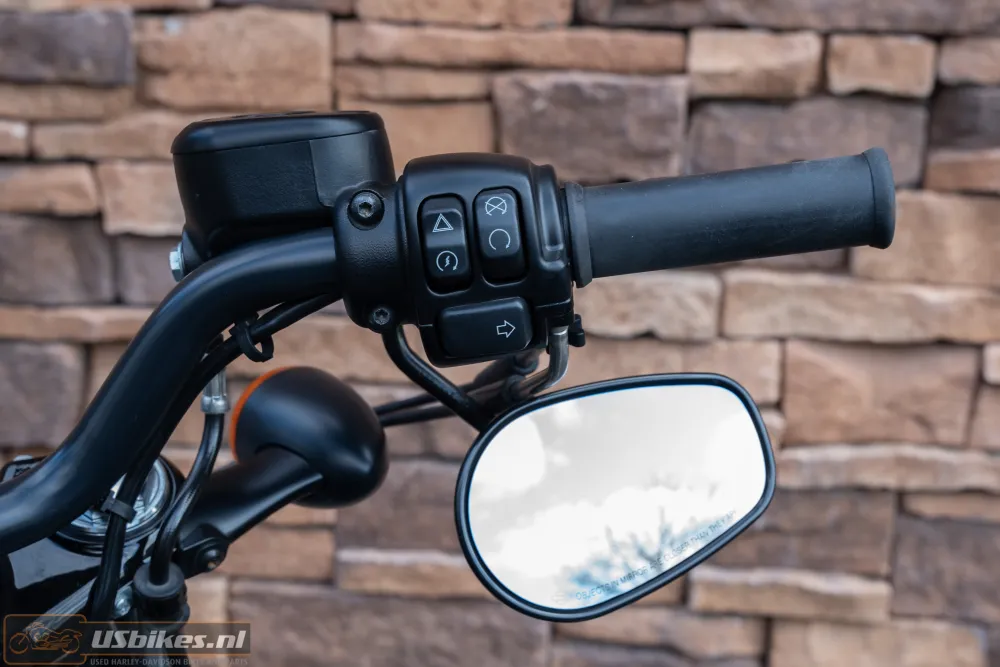 2020 Harley-Davidson XL1200X Forty Eight 1200 Sportster 48