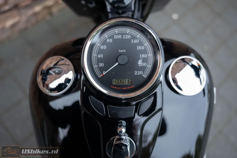 2017 Harley-Davidson FLSS Softail Slim S 110 Screamin Eagle