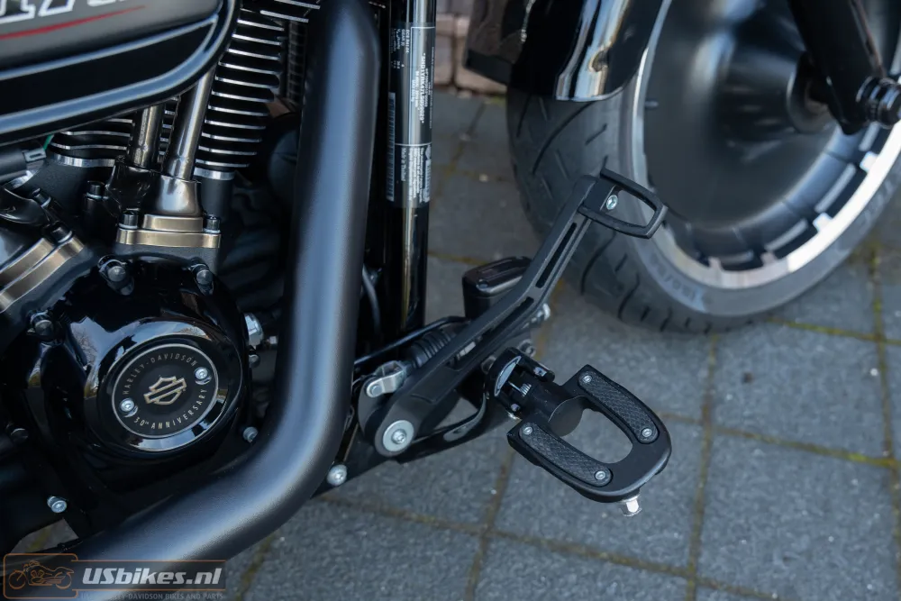 2020 Harley-Davidson FLFBS ANV Fat Boy 30th Anniversary 117