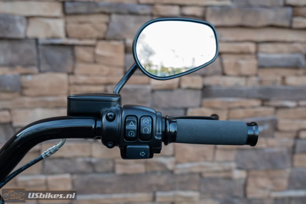 2020 Harley-Davidson FLFBS ANV Fat Boy 30th Anniversary 117