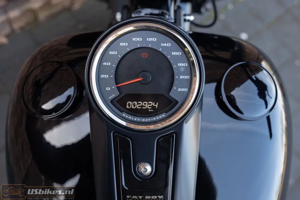 2020 Harley-Davidson FLFBS ANV Fat Boy 30th Anniversary 117