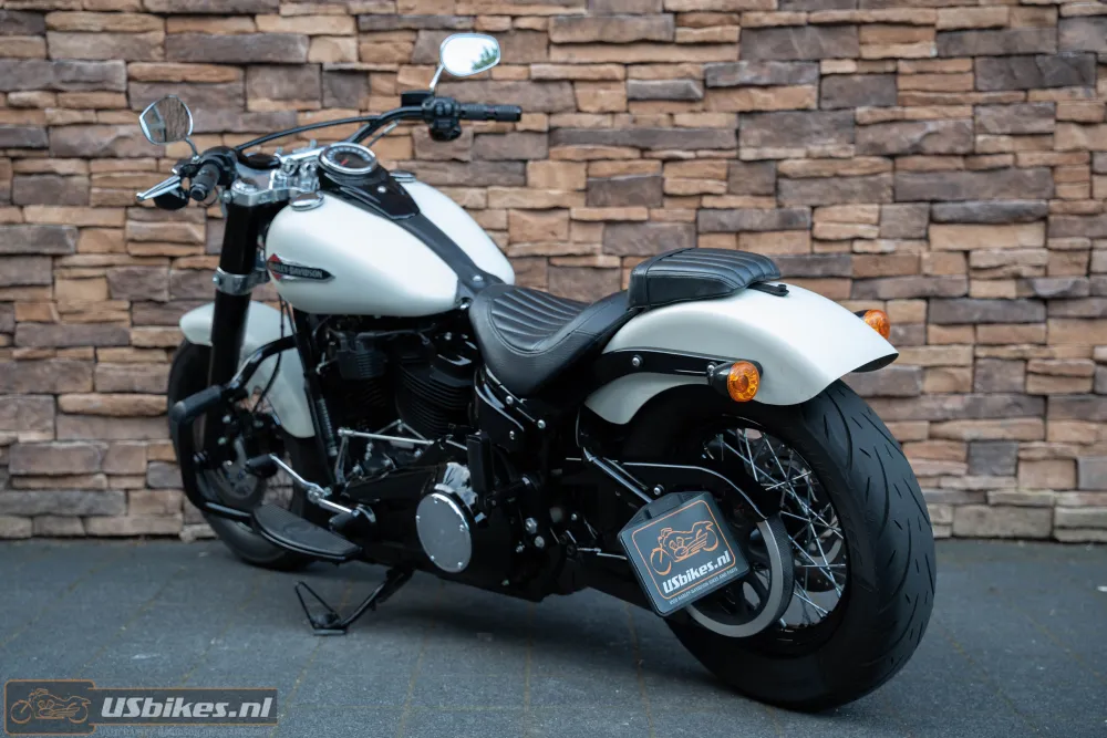 2019 Harley-Davidson FLSL Softail Slim 107 M8