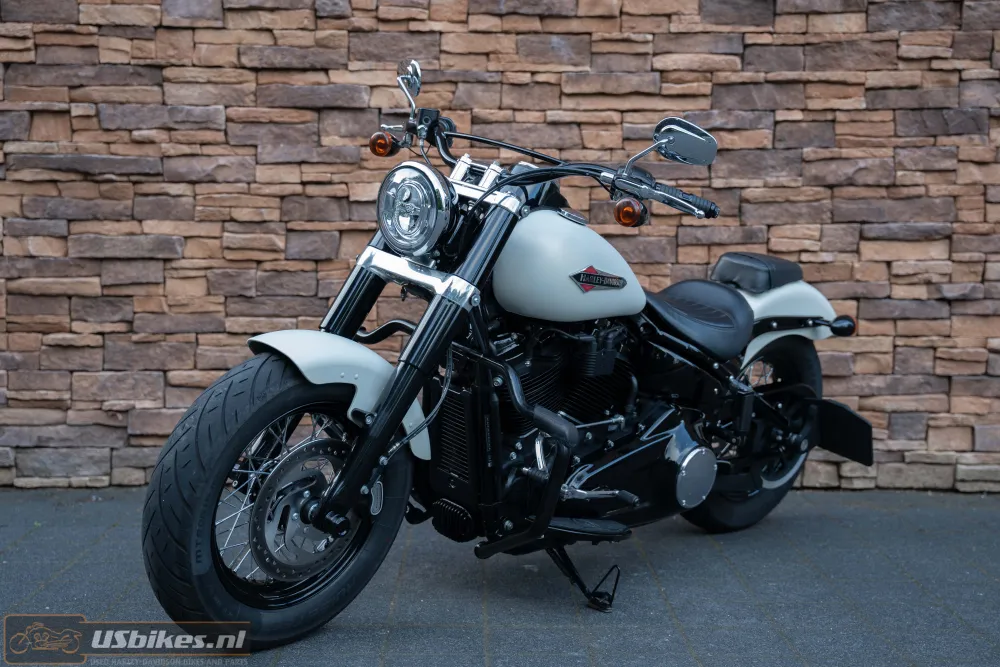 2019 Harley-Davidson FLSL Softail Slim 107 M8