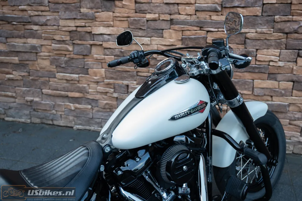 2019 Harley-Davidson FLSL Softail Slim 107 M8