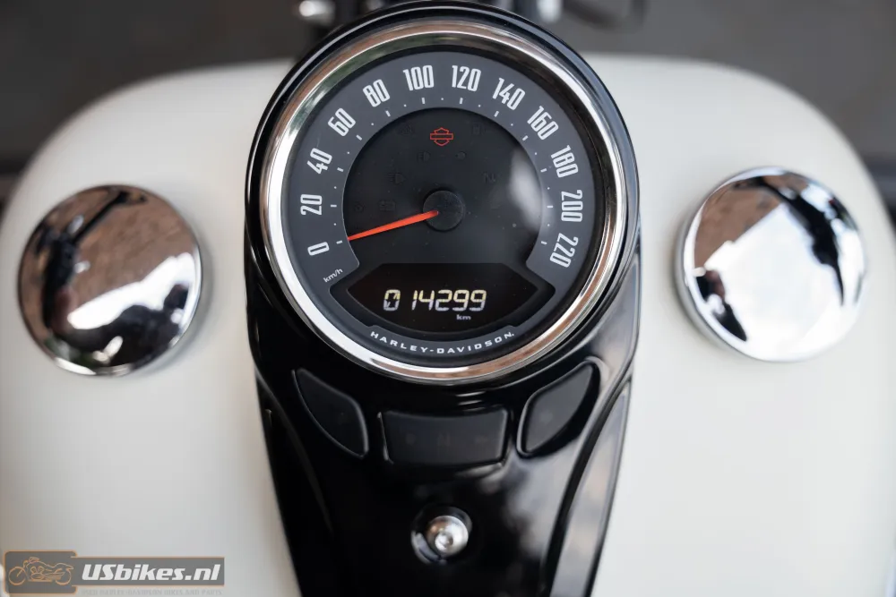 2019 Harley-Davidson FLSL Softail Slim 107 M8