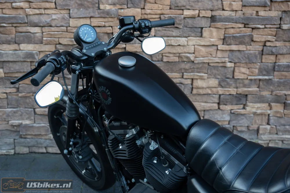 2019 Harley-Davidson XL 883 N Sportster Iron ABS