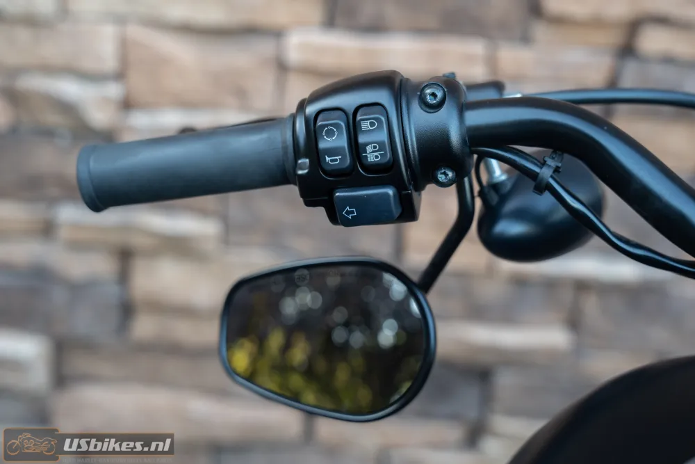 2019 Harley-Davidson XL 883 N Sportster Iron ABS