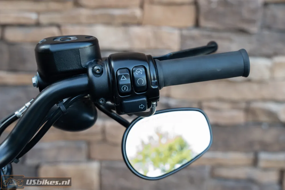 2019 Harley-Davidson XL 883 N Sportster Iron ABS