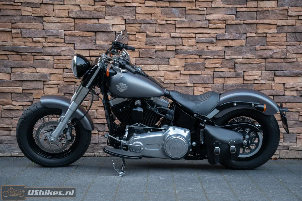 2015 Harley-Davidson FLS Softail Slim 103