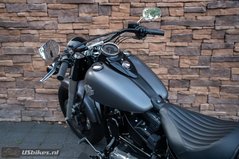2015 Harley-Davidson FLS Softail Slim 103