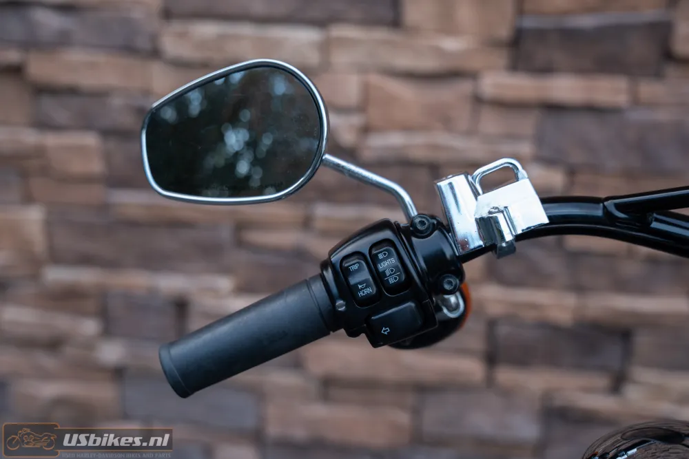 2015 Harley-Davidson FLS Softail Slim 103