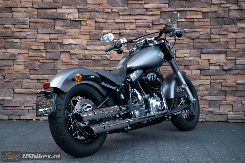 2015 Harley-Davidson FLS Softail Slim 103