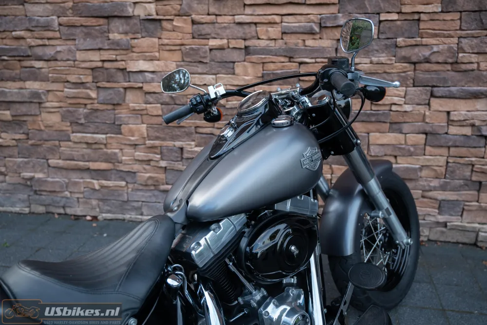 2015 Harley-Davidson FLS Softail Slim 103