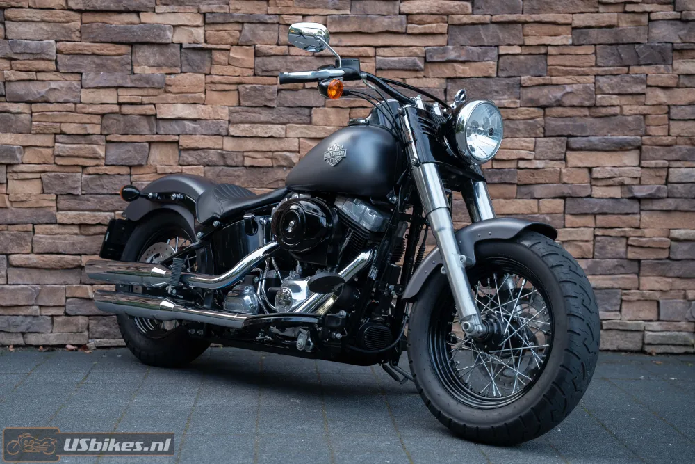2015 Harley-Davidson FLS Softail Slim 103