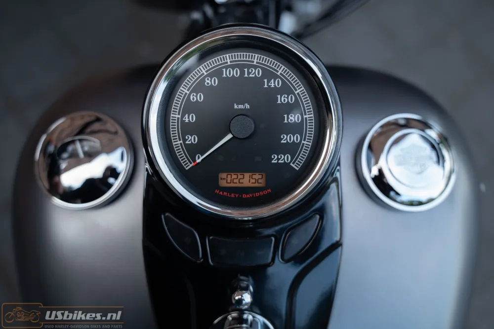 2015 Harley-Davidson FLS Softail Slim 103