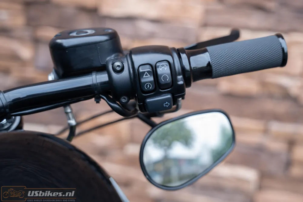 2018 Harley-Davidson XL1200NS Iron Sportster 1200