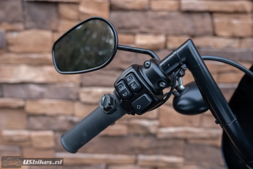 2020 Harley-Davidson XL1200NS Iron Sportster 1200