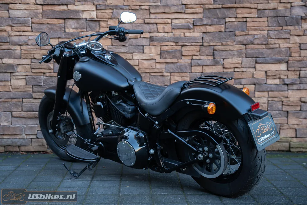 2015 Harley-Davidson FLS Softail Slim 103 Blacked-out