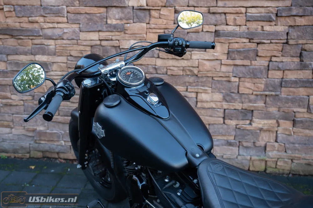 2015 Harley-Davidson FLS Softail Slim 103 Blacked-out