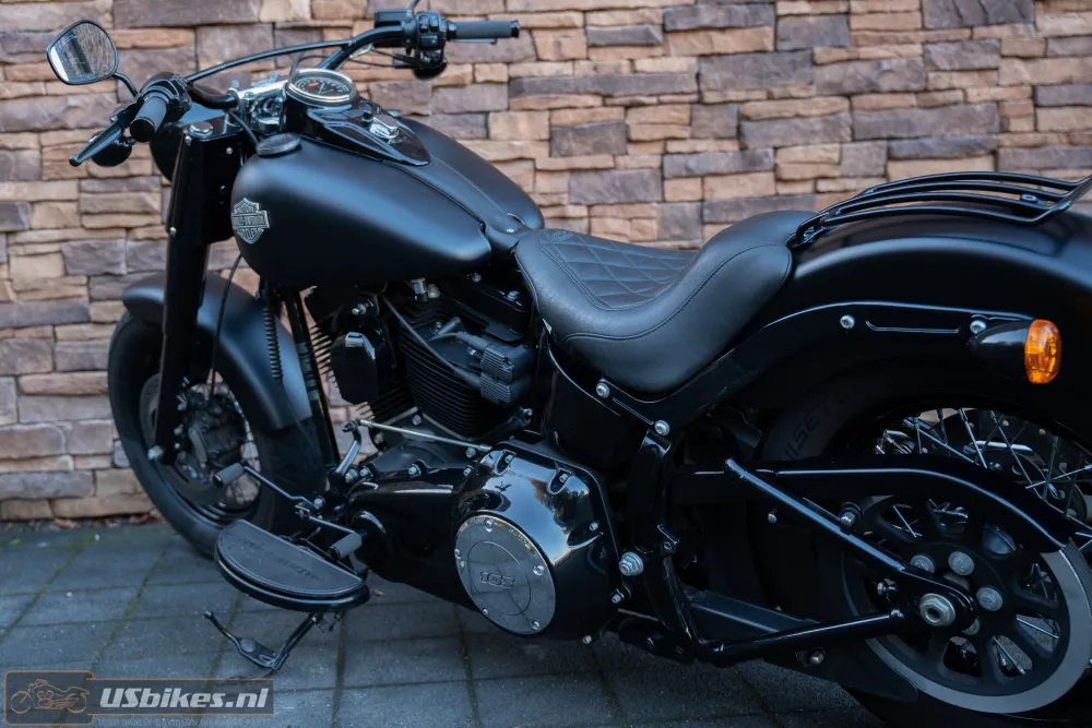2015 Harley-Davidson FLS Softail Slim 103 Blacked-out