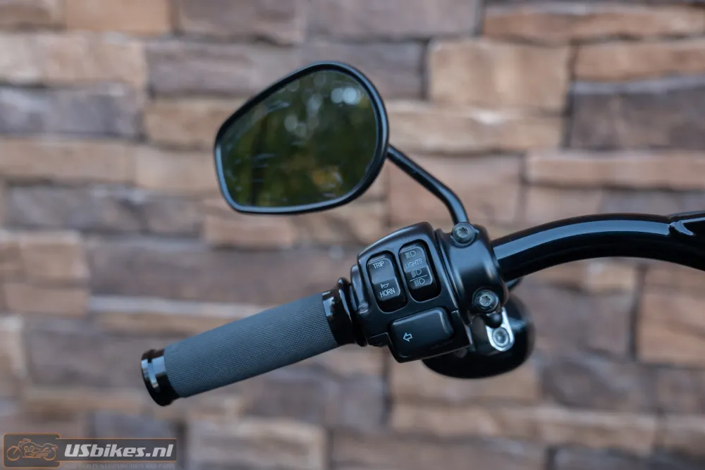 2015 Harley-Davidson FLS Softail Slim 103 Blacked-out