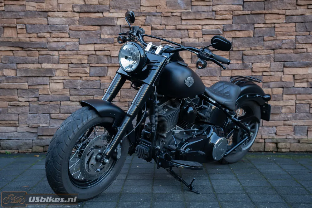 2015 Harley-Davidson FLS Softail Slim 103 Blacked-out