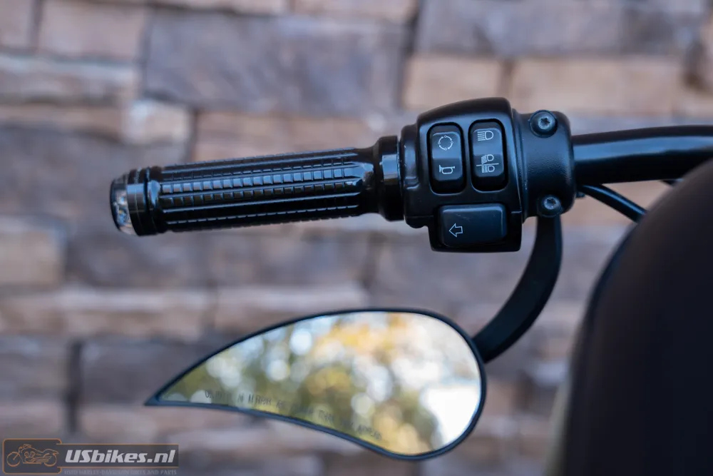 2017 Harley-Davidson XL 883 N Sportster Iron ABS