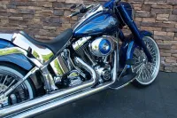 2005 Harley-Davidson FLSTCI Softail Special *VERKOCHT*