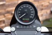 2005 Harley-Davidson XL883R Sportster *VERKOCHT*