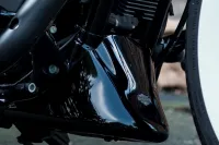 2011 Harley-Davidson XL 1200 X Sportster Forty Eight Special *VERKOCHT*