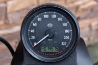 2016 Harley-Davidson XL 883 N Sportster Iron ABS *VERKOCHT*