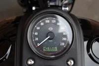 2017 Harley-Davidson FXDLS Low Rider S Dyna 110 Screamin Eagle *VERKOCHT*