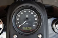 2017 Harley-Davidson FXDLS Low Rider S Dyna 110 Screamin Eagle *VERKOCHT*