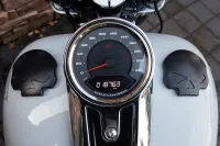 2021 Harley-Davidson FLSB Sport Glide Softail 107 M8