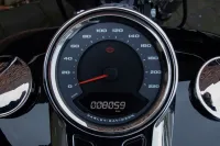 2021 Harley-Davidson FLSB Sport Glide Softail 107 M8 *VERKOCHT*