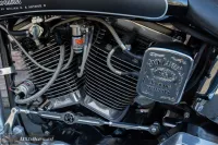 Harley-Davidson FXSTC Softail Custom 1340 Evo 'Jack Daniels'