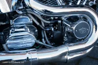 Harley-Davidson FXSTC Softail Custom 1340 Evo 'Jack Daniels'