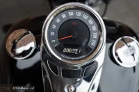 2020 Harley-Davidson FLDE Softail Deluxe 107 M8